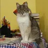 Отзыв от Людмила Гладкова